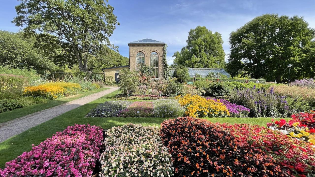 Botanical garden of the University of Lund