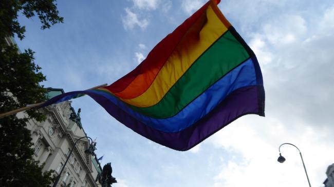 Rainbow Flag flying over Vienna